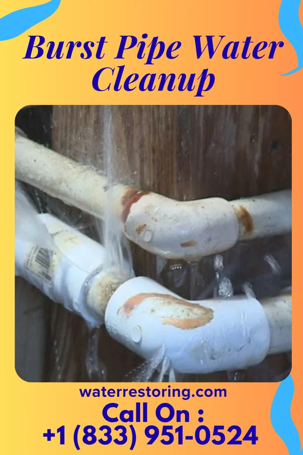 Burst Pipe Water Cleanup in Columbus, MT