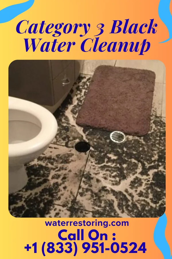 Category 3 Black Water Cleanup in Columbus, MT