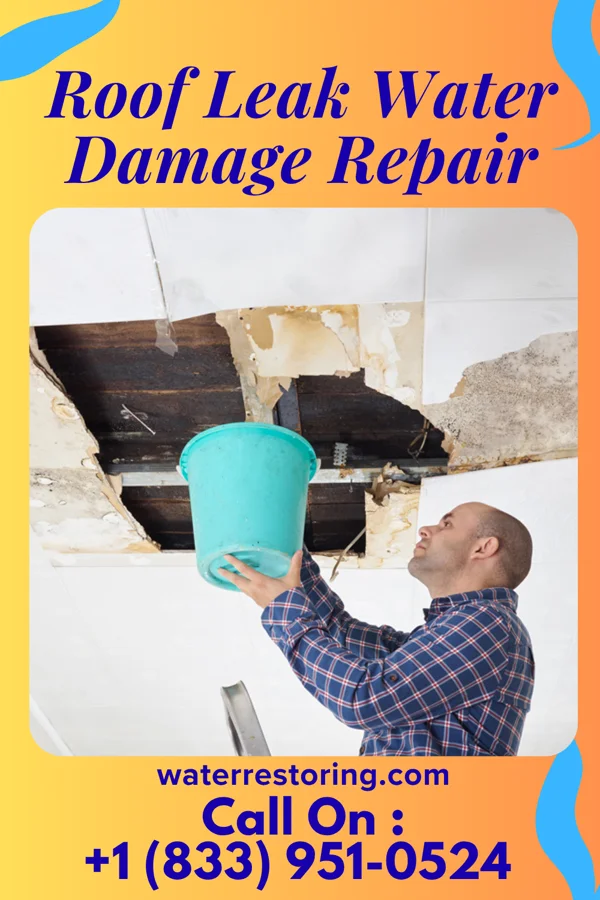 Roof Leak Water Damage Repair in Columbus, MT