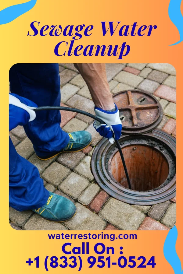 Sewage Water Cleanup in Columbus, MT